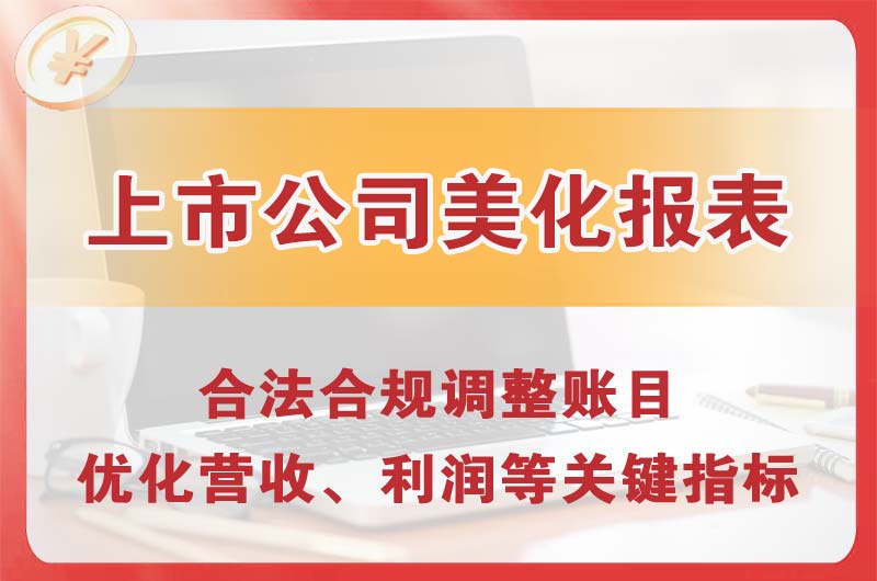 盘州上市公司美化报表